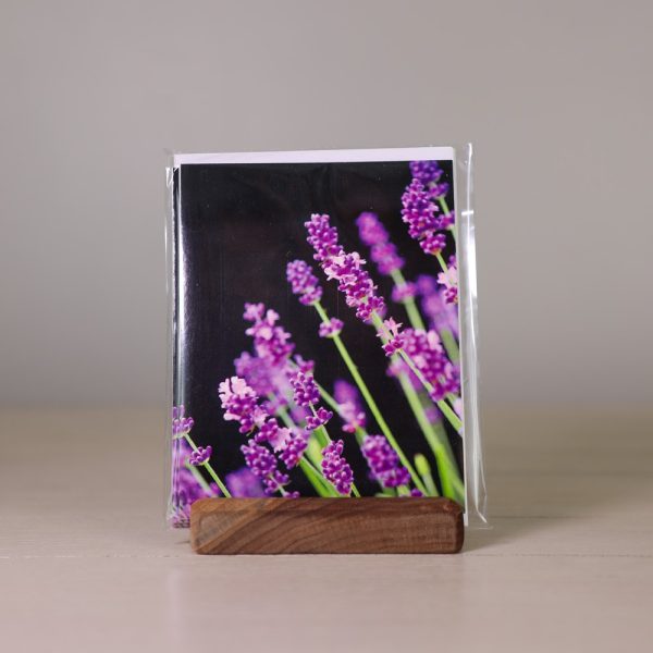 lavender norecards