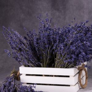 Other (Lavender) Items