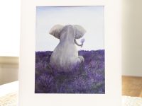 lavender field with elephant print