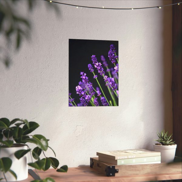 lavender wall art home decor