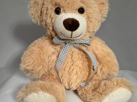 Teddy Bear with Gingham bow