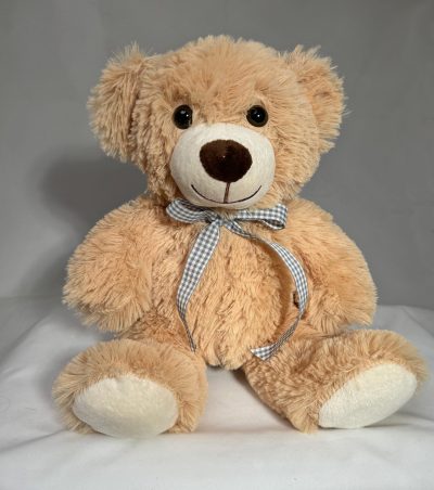 Teddy Bear with Gingham bow