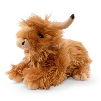 Highland Cow - reclining